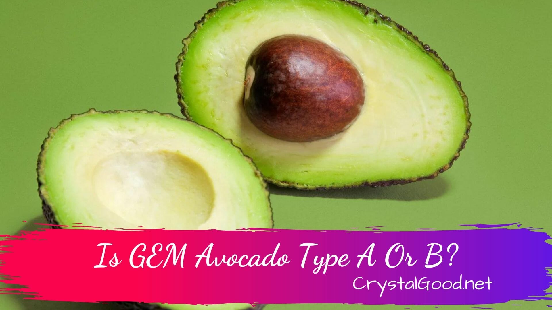 Is GEM Avocado Type A Or B? July 4, 2023