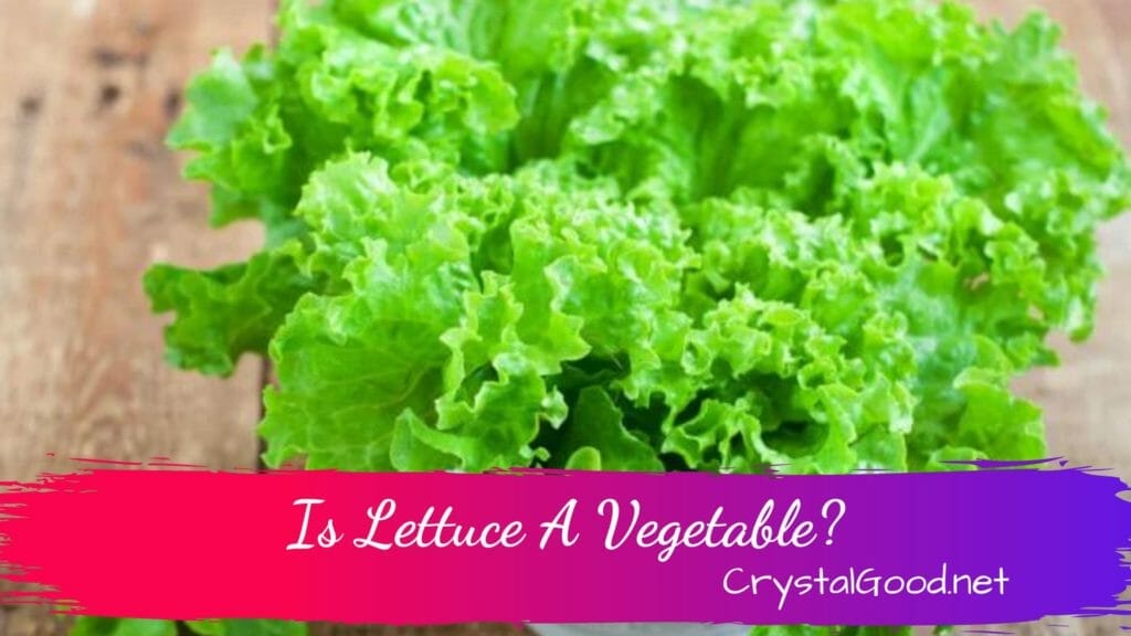 Is Lettuce A Vegetable