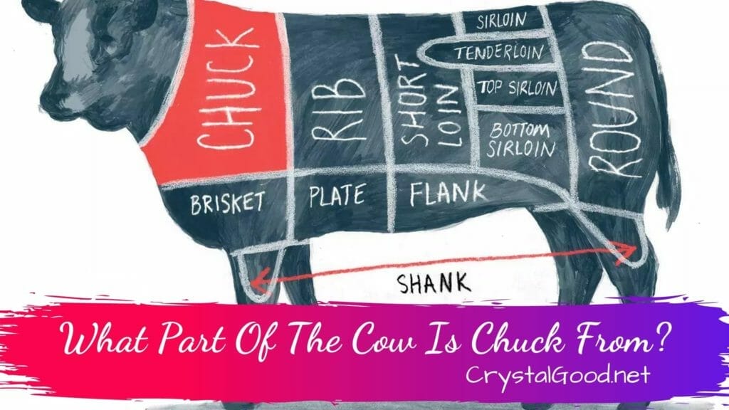 What Part Of The Cow Is Chuck From