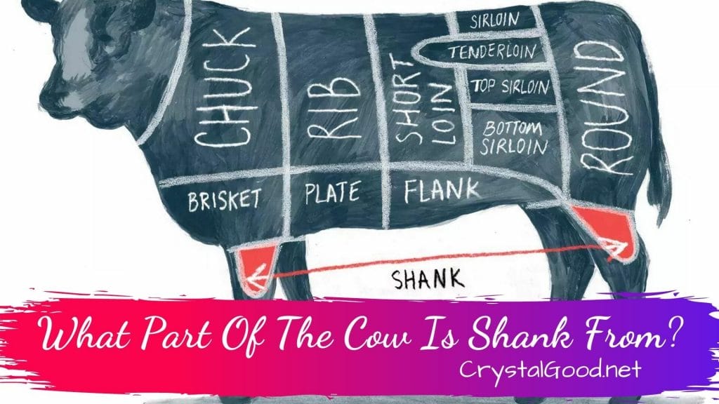 What Part Of The Cow Is Shank From