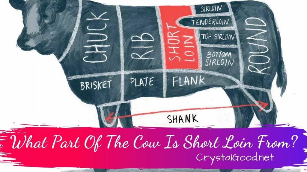What Part Of The Cow Is Short Loin From
