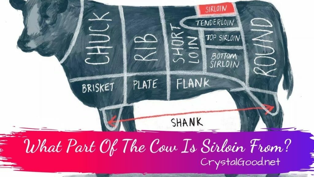 What Part Of The Cow Is Sirloin From