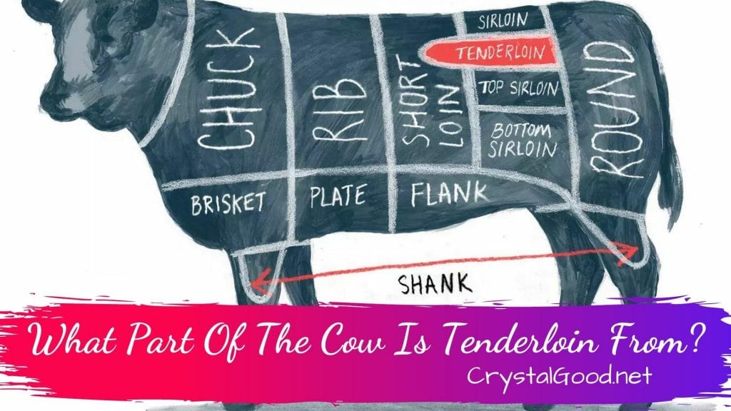 What Part Of The Cow Is Tenderloin From